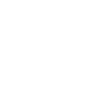 Professionelles Team